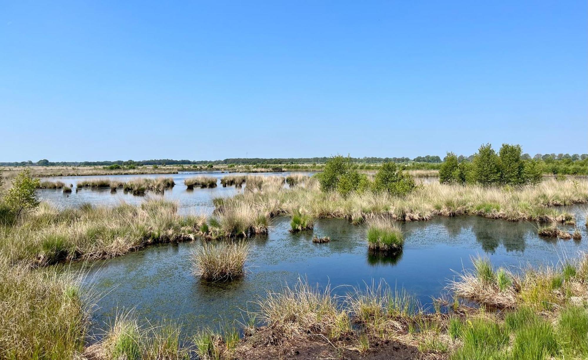 Landzicht Natuur Rust En Ruimte Остервольде Экстерьер фото