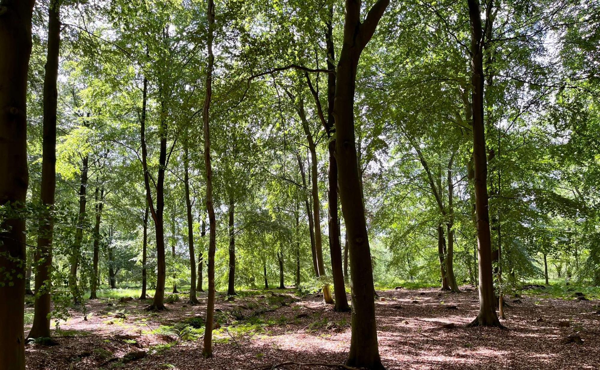 Landzicht Natuur Rust En Ruimte Остервольде Экстерьер фото